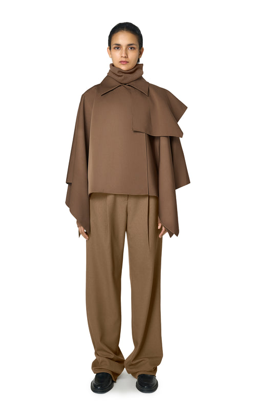 IDA CAPE